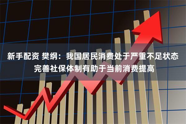 新手配资 樊纲：我国居民消费处于严重不足状态 完善社保体制有助于当前消费提高